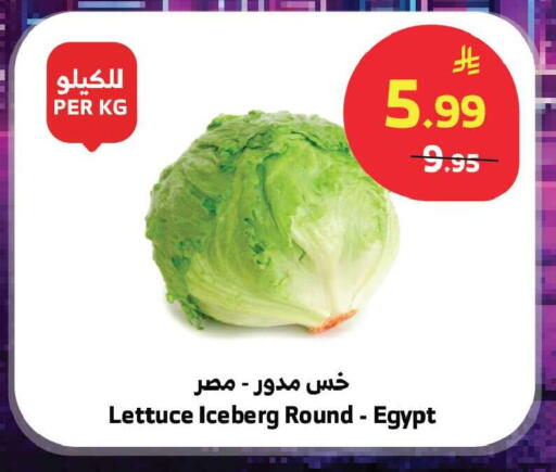 Lettuce from Egypt available at Al Raya in KSA, Saudi Arabia, Saudi - Jeddah