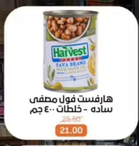 available at بيت الجملة in Egypt - القاهرة