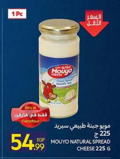 available at كارفور in Egypt - القاهرة