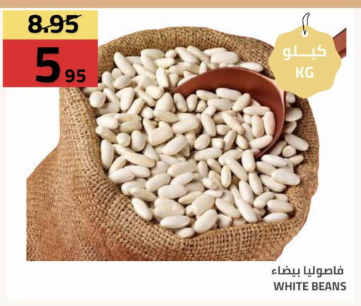 available at Astra Markets in KSA, Saudi Arabia, Saudi - Tabuk