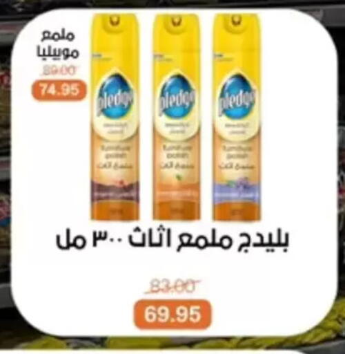 available at بيت الجملة in Egypt - القاهرة