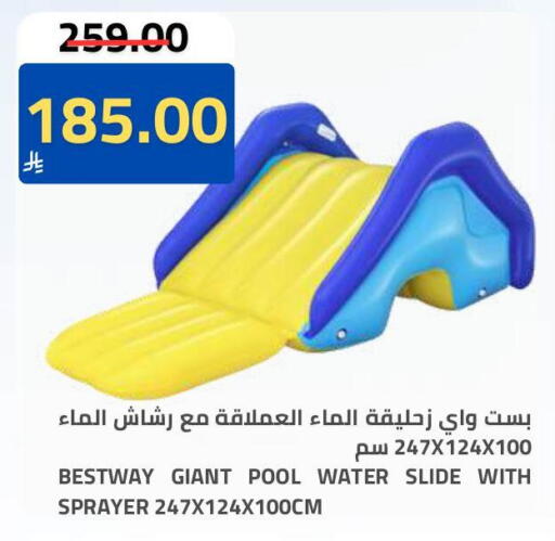 available at Astra Markets in KSA, Saudi Arabia, Saudi - Tabuk