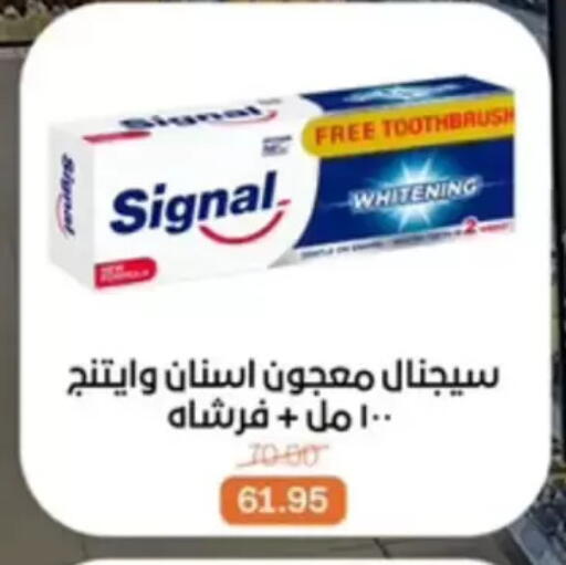 available at بيت الجملة in Egypt - القاهرة