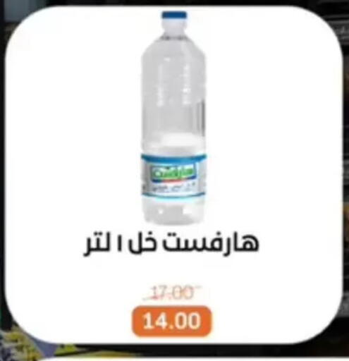 available at بيت الجملة in Egypt - القاهرة