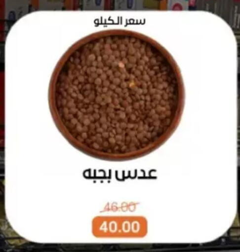 available at بيت الجملة in Egypt - القاهرة