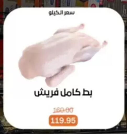 available at بيت الجملة in Egypt - القاهرة