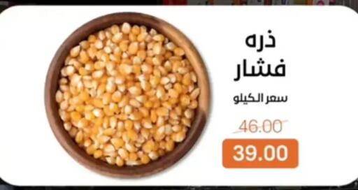 available at Beit El Gomla in Egypt - Cairo