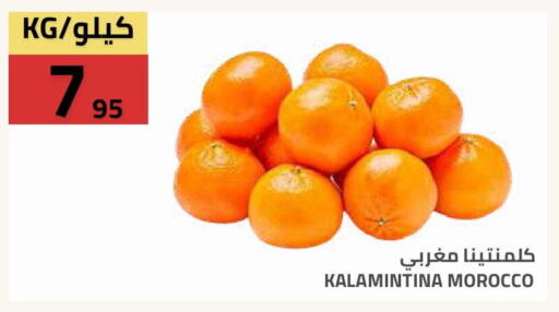 from Morocco available at Astra Markets in KSA, Saudi Arabia, Saudi - Tabuk
