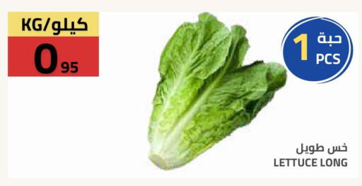 Lettuce available at Astra Markets in KSA, Saudi Arabia, Saudi - Tabuk