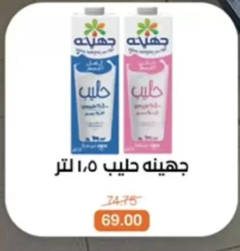 available at بيت الجملة in Egypt - القاهرة