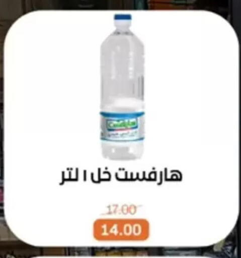 available at بيت الجملة in Egypt - القاهرة
