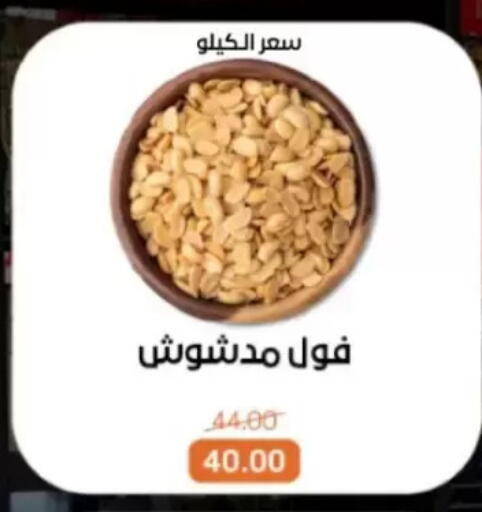available at بيت الجملة in Egypt - القاهرة