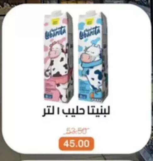 available at بيت الجملة in Egypt - القاهرة