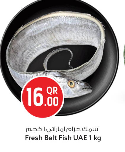 available at سفاري هايبر ماركت in قطر - أم صلال