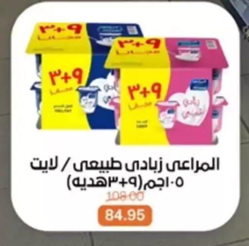 available at بيت الجملة in Egypt - القاهرة