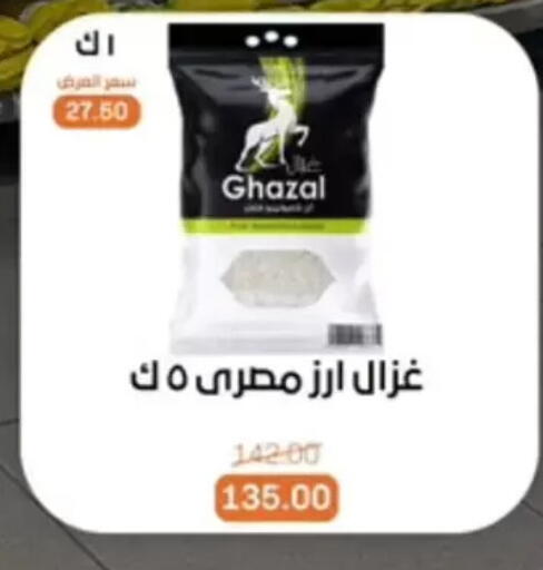 available at بيت الجملة in Egypt - القاهرة