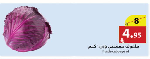 Cabbage available at Abyati Stores in KSA, Saudi Arabia, Saudi - Medina