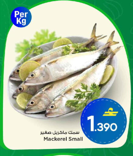 available at مارك & سايف in عُمان - مسقط‎