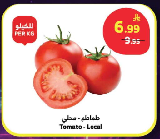 Tomato available at الراية in مملكة العربية السعودية, السعودية, سعودية - جدة