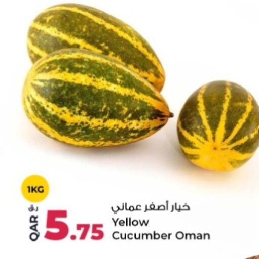 Cucumber from Oman available at Rawabi Hypermarket in Qatar - Umm Salal