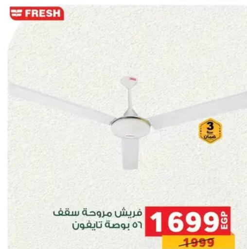 available at Panda  in Egypt - Cairo