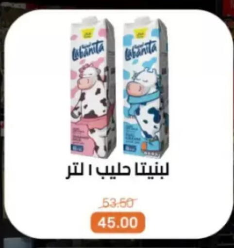 available at بيت الجملة in Egypt - القاهرة