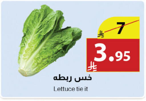 Lettuce available at Abyati Stores in KSA, Saudi Arabia, Saudi - Medina