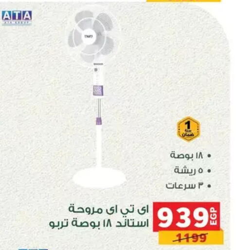 available at Panda  in Egypt - Cairo