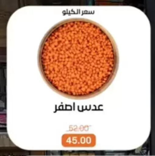 available at Beit El Gomla in Egypt - Cairo