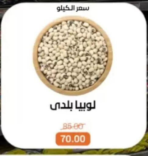 available at Beit El Gomla in Egypt - Cairo