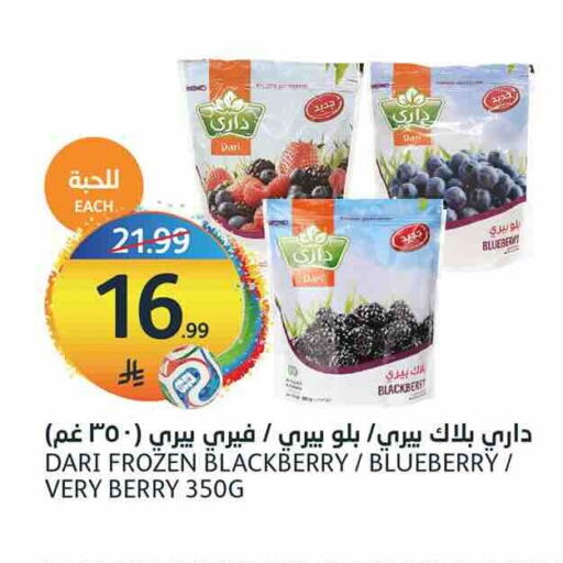 Blackberry Blueberry BlueBerry available at AlJazera Shopping Center in KSA, Saudi Arabia, Saudi - Riyadh