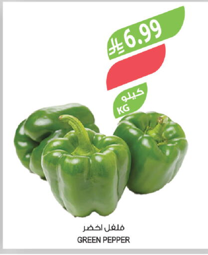 Pepper available at Farm  in KSA, Saudi Arabia, Saudi - Tabuk