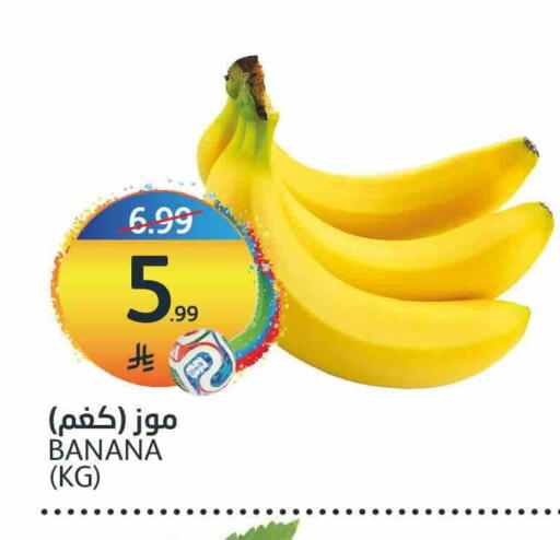 Banana available at AlJazera Shopping Center in KSA, Saudi Arabia, Saudi - Riyadh