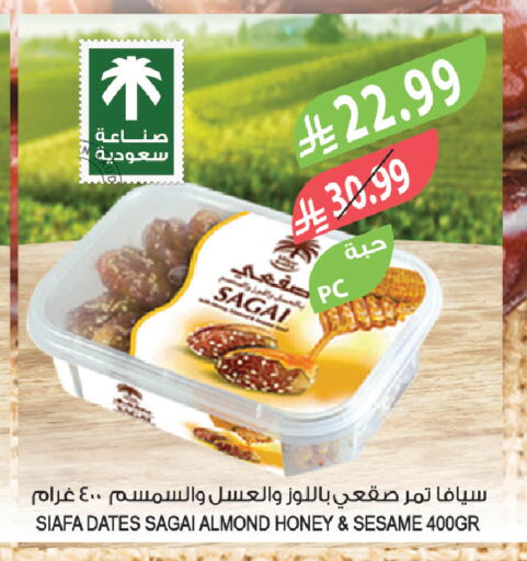 Sesame available at Farm  in KSA, Saudi Arabia, Saudi - Tabuk