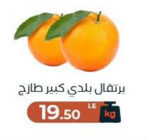 available at Arafa Market in Egypt - Cairo