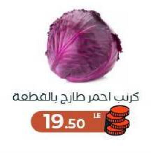 available at Arafa Market in Egypt - Cairo