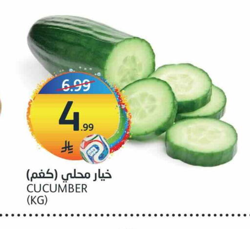 Cucumber available at AlJazera Shopping Center in KSA, Saudi Arabia, Saudi - Riyadh