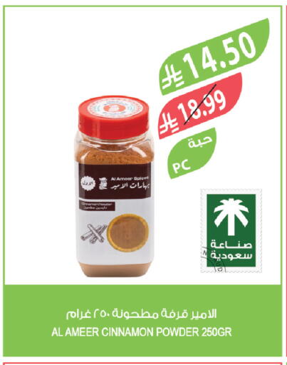 Cinnamon available at Farm  in KSA, Saudi Arabia, Saudi - Tabuk