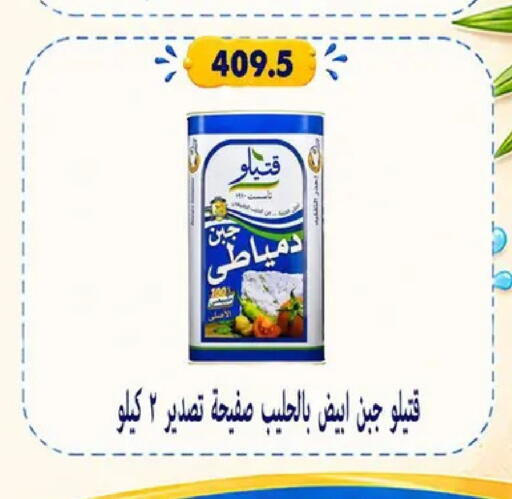available at Hyper Samy Salama Sons in Egypt - Cairo
