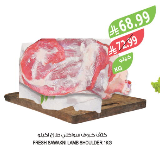 available at Farm  in KSA, Saudi Arabia, Saudi - Tabuk