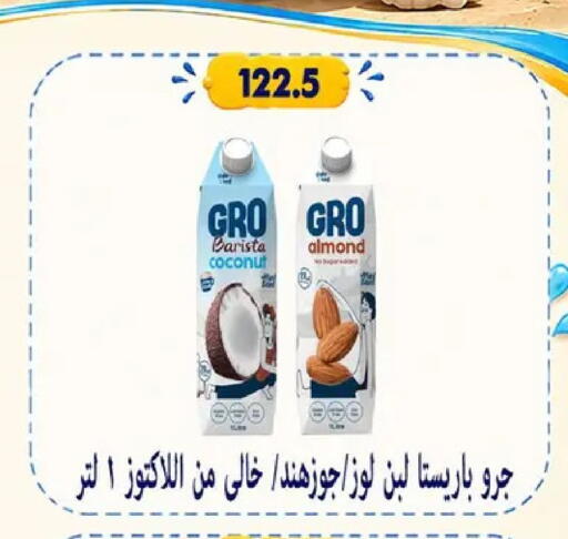 Coconut available at Hyper Samy Salama Sons in Egypt - Cairo
