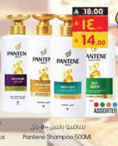 available at ستي فلاور in مملكة العربية السعودية, السعودية, سعودية - حائل‎