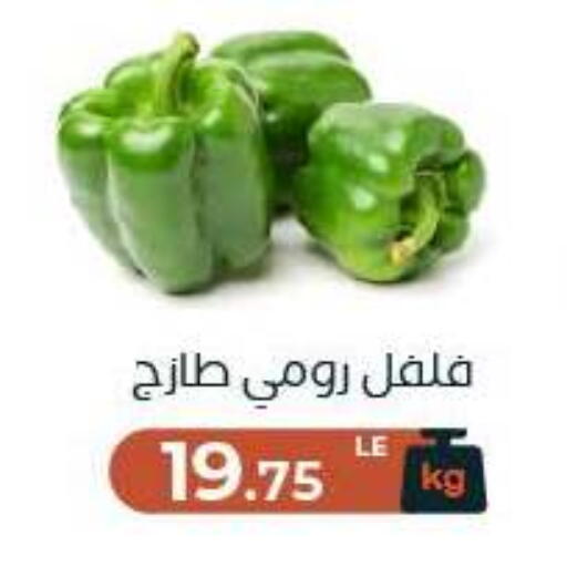 available at Arafa Market in Egypt - Cairo