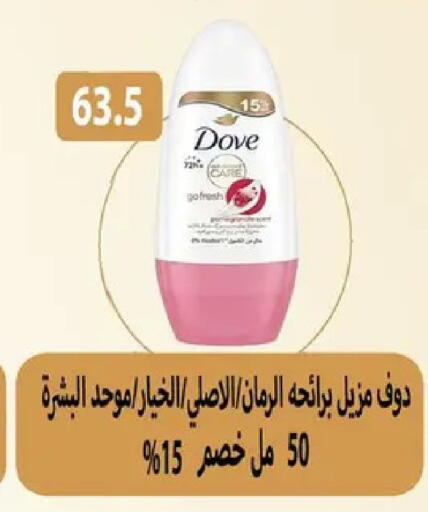 available at Hyper Samy Salama Sons in Egypt - Cairo