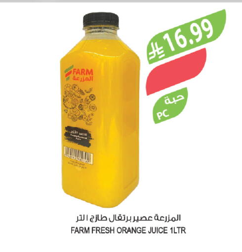 Orange available at Farm  in KSA, Saudi Arabia, Saudi - Tabuk