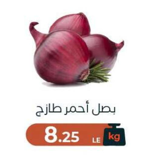 available at Arafa Market in Egypt - Cairo