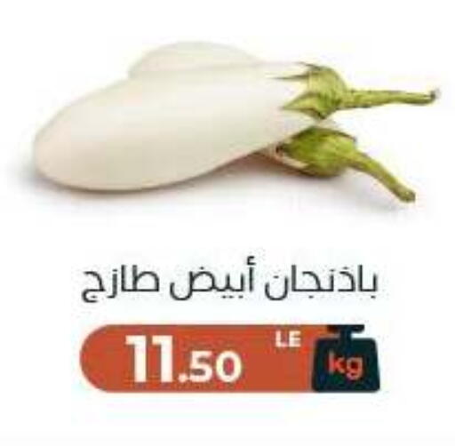 available at Arafa Market in Egypt - Cairo