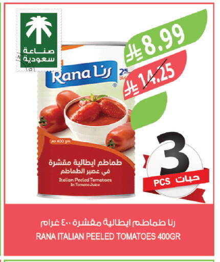 Tomato available at Farm  in KSA, Saudi Arabia, Saudi - Al-Kharj