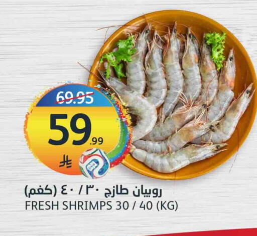 available at AlJazera Shopping Center in KSA, Saudi Arabia, Saudi - Riyadh