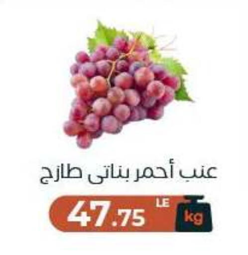 available at Arafa Market in Egypt - Cairo
